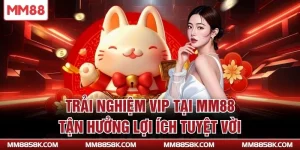 Trải nghiệm VIP